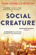 Social Creature by Tara Isabella Burton book cover