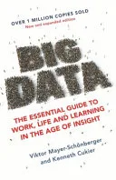 Big Data by Viktor Mayer-Schönberger, Kenneth Cukier book cover