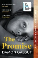 Promise by Damon Galgut book cover