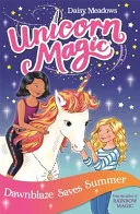 Dawnblaze Saves Summer by Daisy Meadows book cover