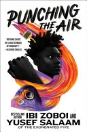 Punching the Air by Ibi Aanu Zoboi book cover