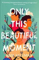 Only This Beautiful Moment by Abdi Nazemian book cover