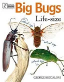 Big Bugs Lifesize by George Beccaloni book cover