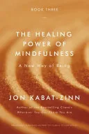 The Healing Power of Mindfulness by Jon Kabat-Zinn book cover
