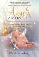 Angels Among Us by Wanda Rosseland book cover
