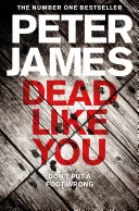 Dead Like You by James, Peter book cover
