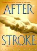 After stroke by David M. Hinds book cover