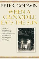 When a Crocodile Eats the Sun by Peter Godwin book cover