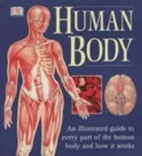 Human body by Ann Baggaley book cover