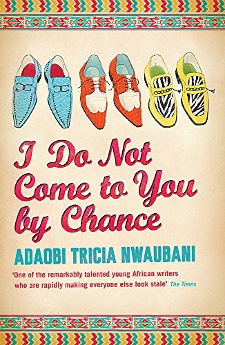 I Do Not Come to You by Chance book cover
