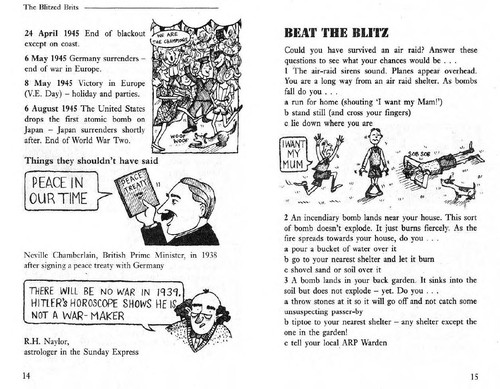 The blitzed Brits by Terry Deary book cover