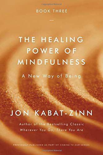 The Healing Power of Mindfulness by Jon Kabat-Zinn book cover