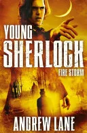 Fire storm book cover
